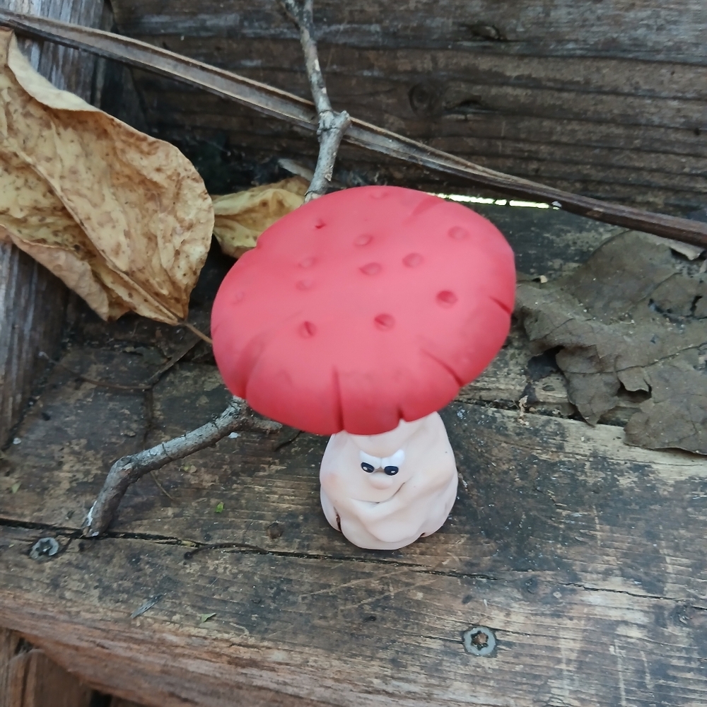 🧡🤎Mushroom Face 🥀🌸 Funny 🍄‍🟫🍄 - Picture 6 of 7